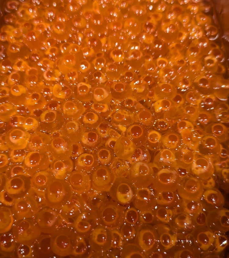 専門スキル＆技術が身につきます！