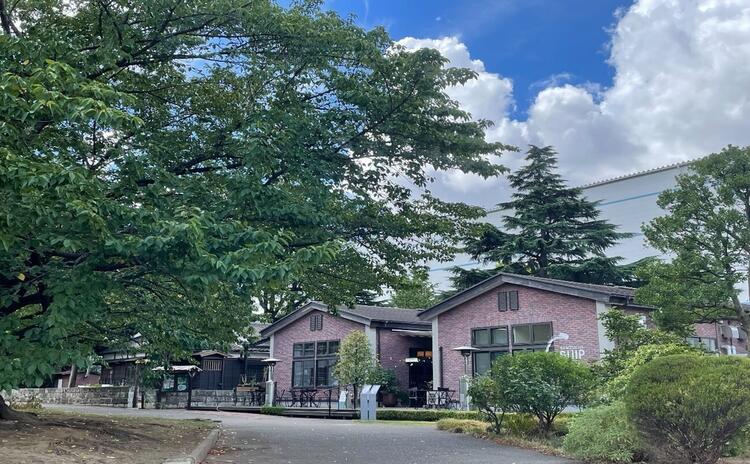 緑に囲まれた雰囲気🌳