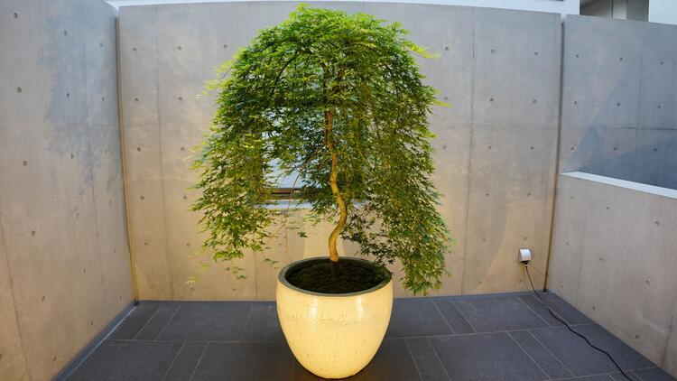 ご応募をお待ちしています