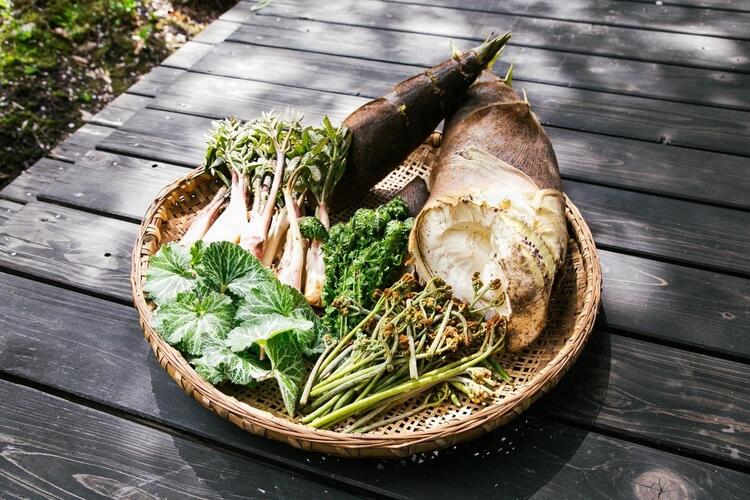 地域の食材にこだわります