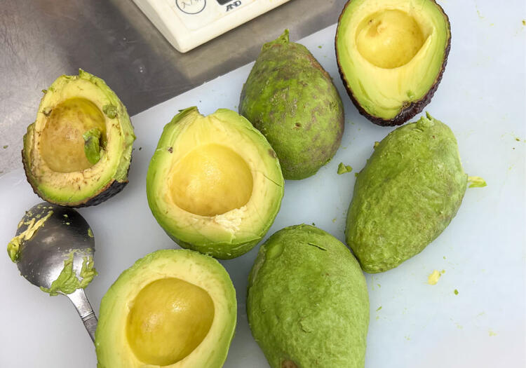 調理工程など丁寧に教えていきます◎