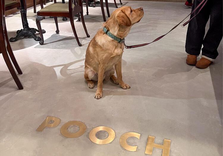 犬連れのお客様も入店可能なお店です◎