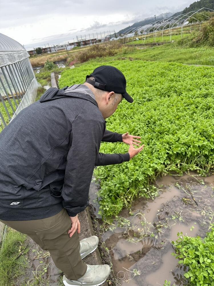 ひき田の詳細画像4