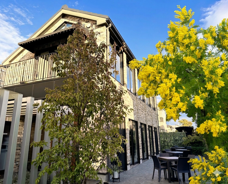 窓際席とカウンター席