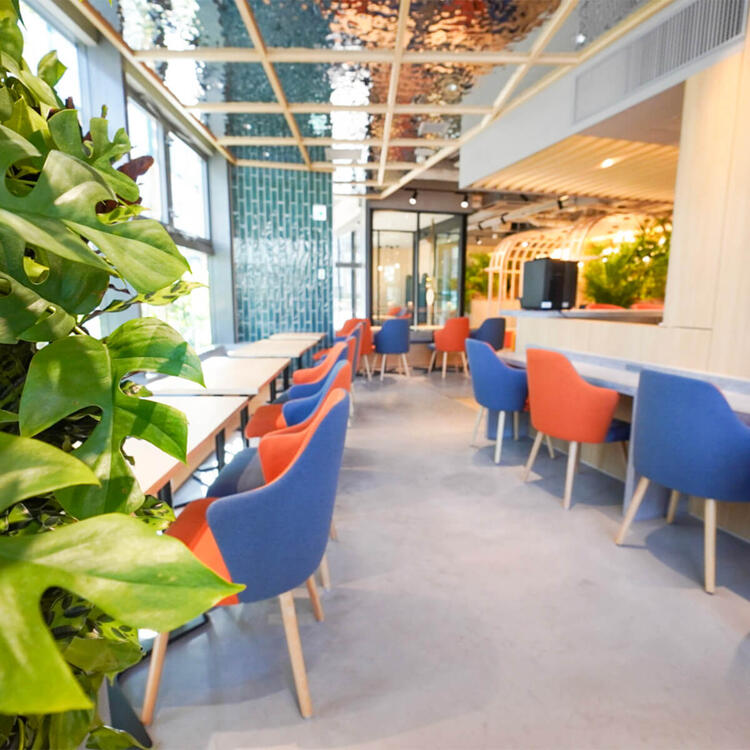 調理を基礎からしっかり学びませんか？