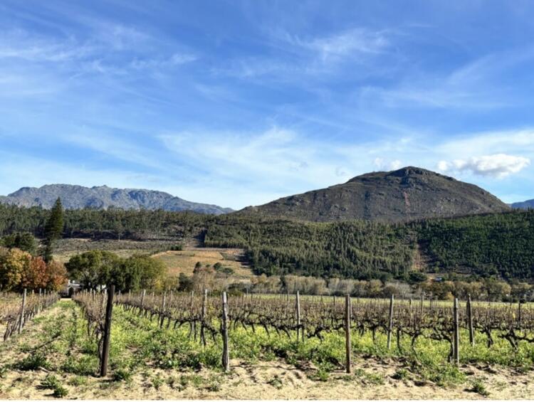 オープニングスタッフ募集◎