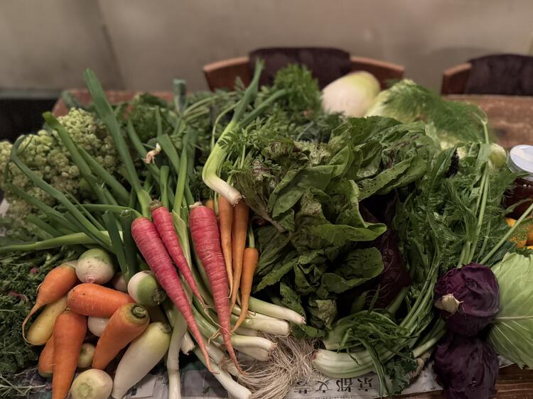 農家直接の野菜。旬と向き合う仕事。