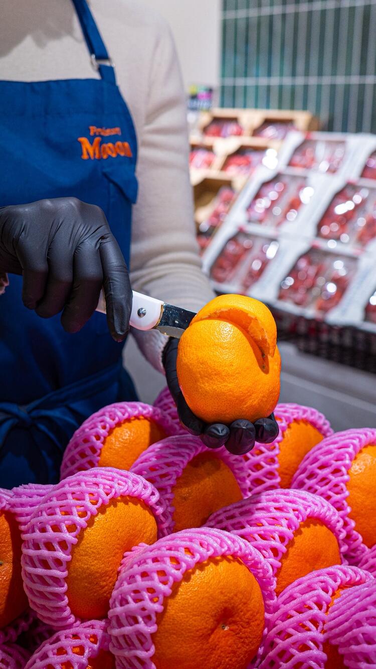 新しい仲間をお待ちしています！