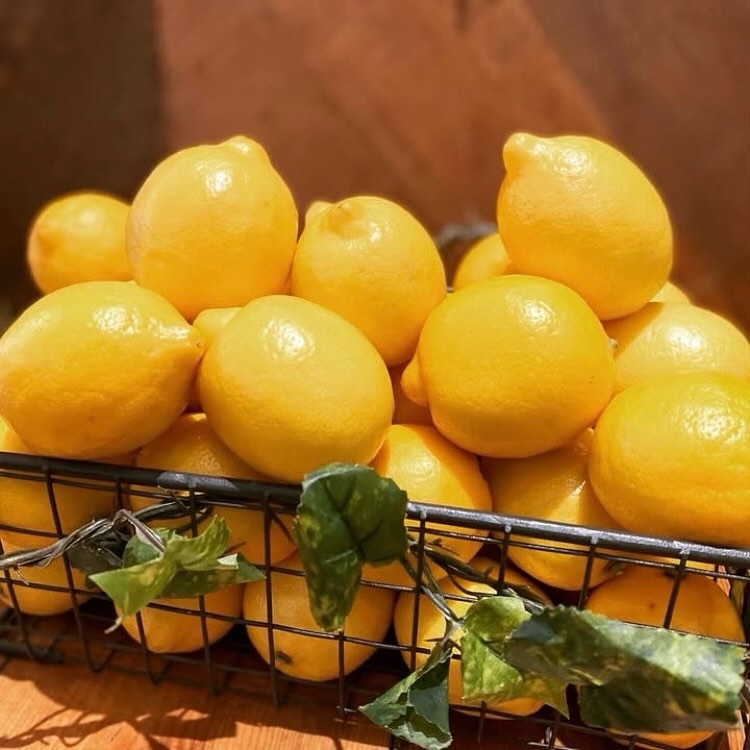 経験を活かして次のステップへ！