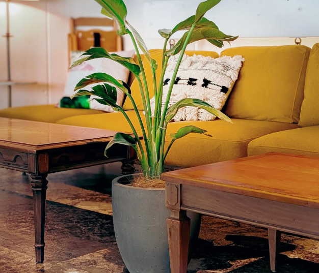 スローで上質な時間※写真は既存店