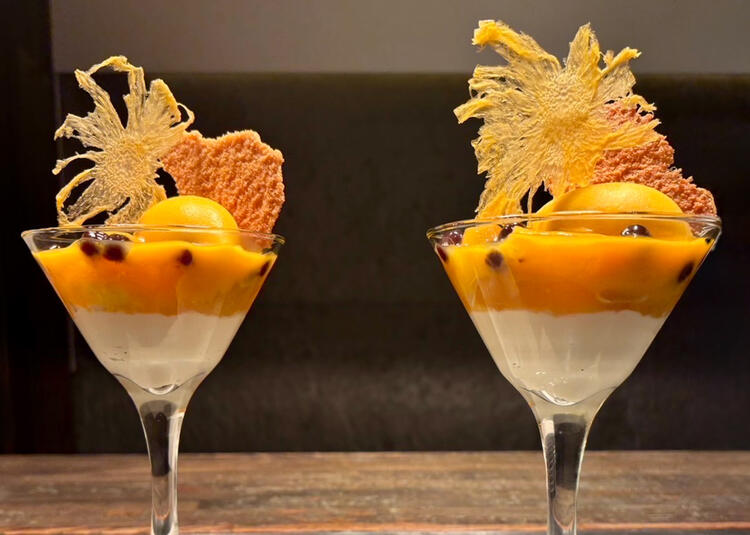 本格的な技術を学べる