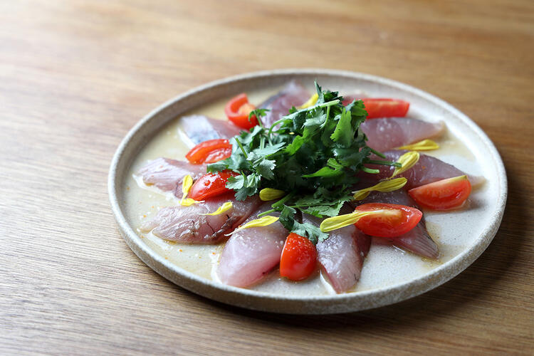 鮮魚のカルパッチョ