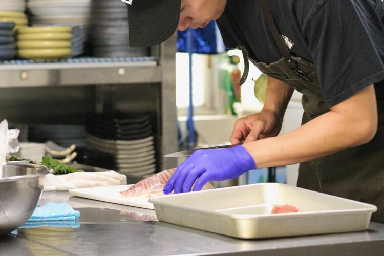 新鮮なお刺身も提供予定