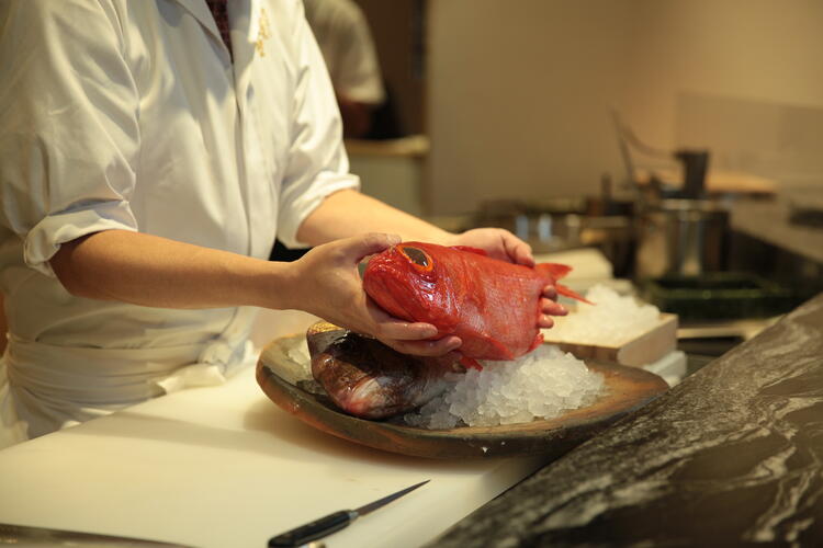 調理スキルを身につけることもできますよ