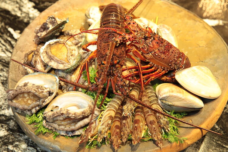 こだわり抜いた食材ばかりです