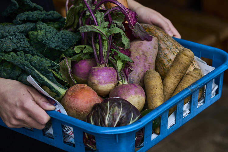 食の作り手、生産者さんの想いを繋ぎます