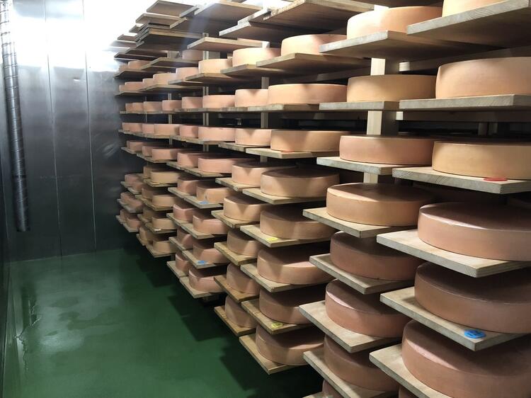 研修充実◎チーズに詳しくなれます☆