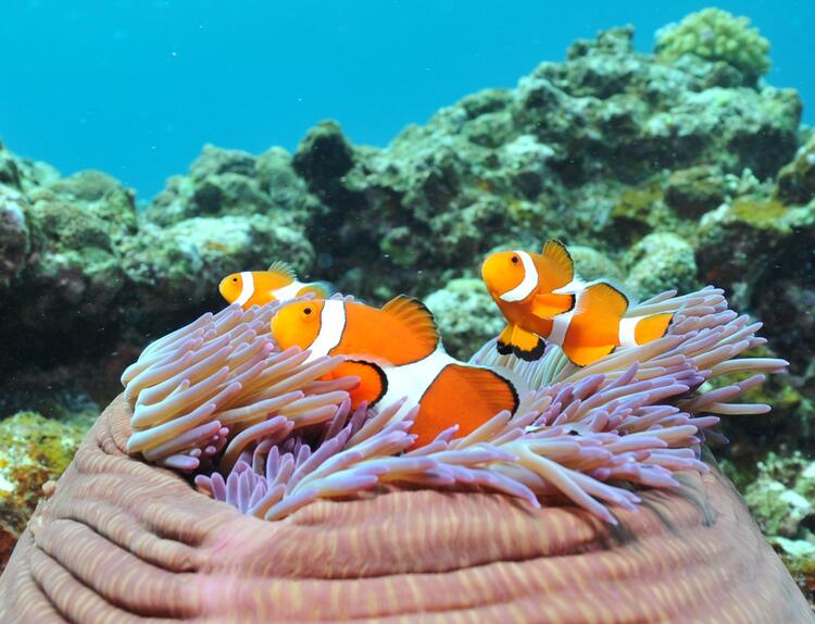 ぜひご応募ください！