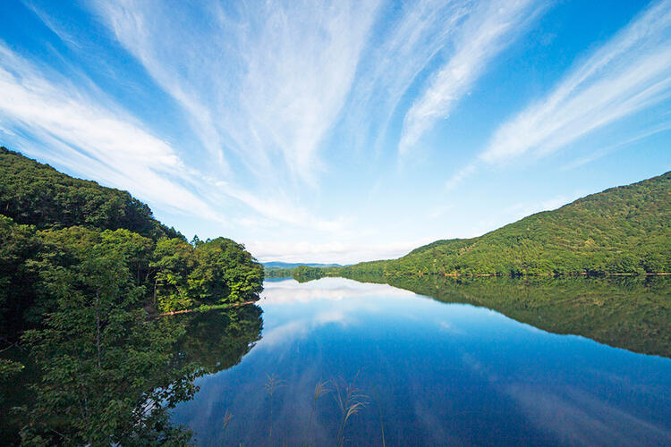 全国に計17のホテルを展開する安定企業◎