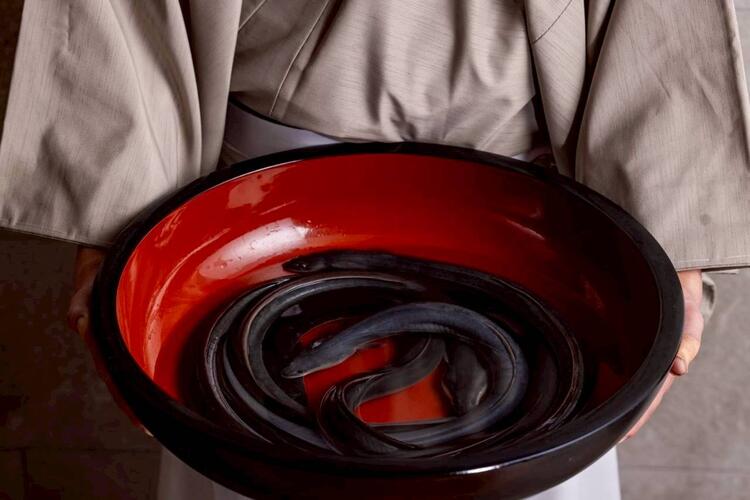 うなぎ割烹　圭すけの詳細画像3