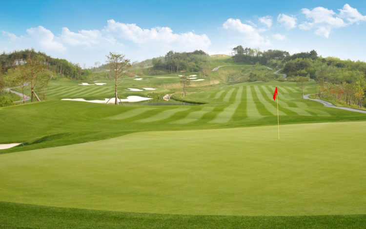 充実した研修があるので安心！