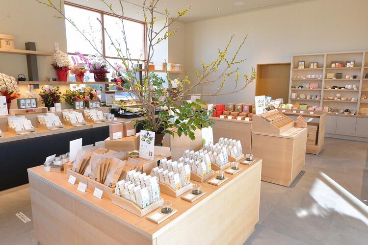 試用期間はなし！お小遣いを稼ぎやすい◎