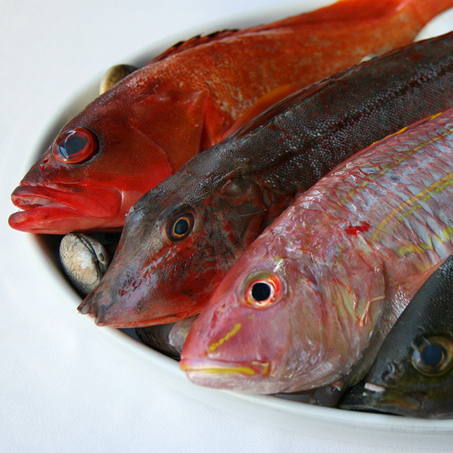 産地直送の鮮魚を使用◎