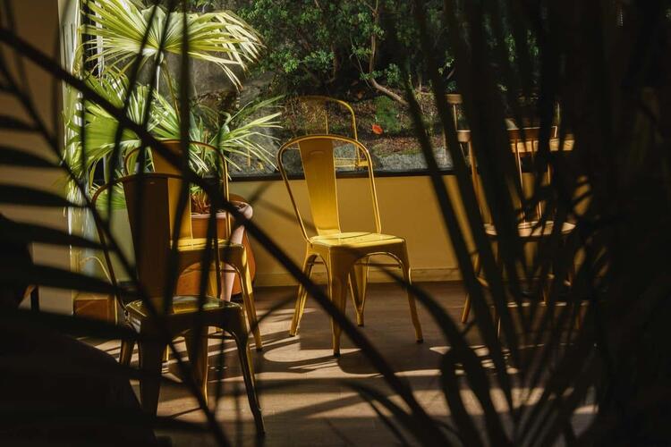 自然のすぐ近くでゆったりと過ごせる店内。