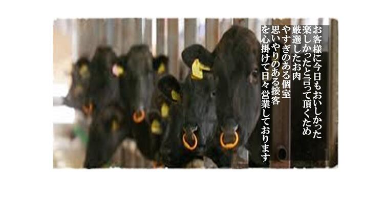 あなたのご応募お待ちしております！