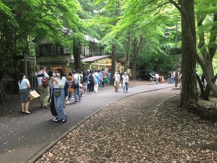 自然豊かな環境です♪
