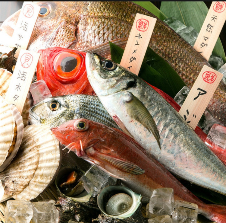 海鮮料理と日本酒が自慢の居酒屋です。