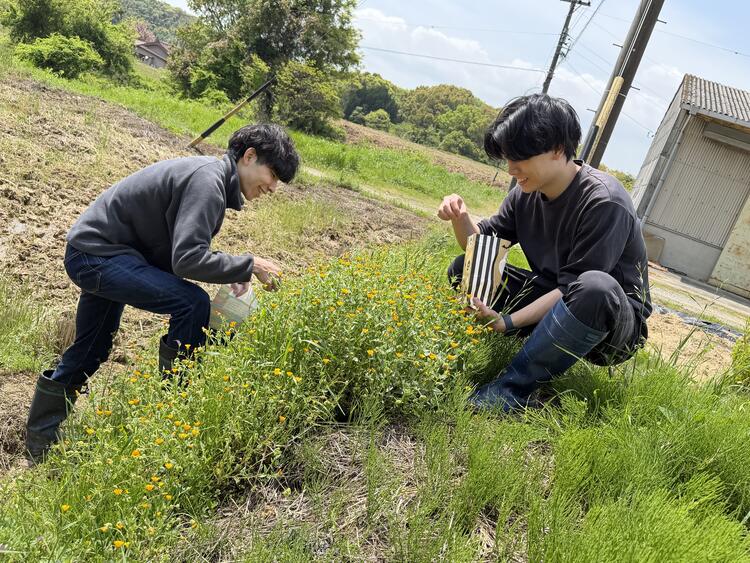 半田の里山に山菜を取りに行くことも◎
