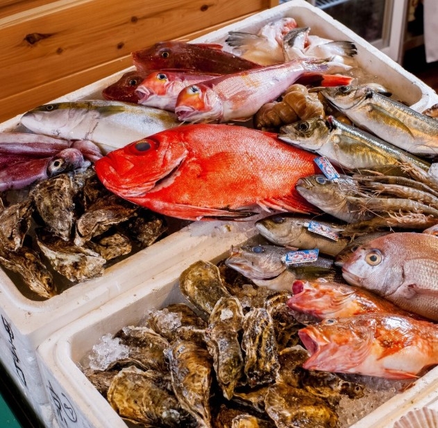 旬の地魚を漁港から直送