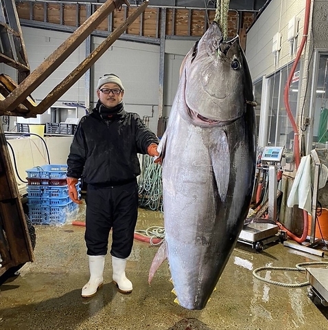 自慢のマグロをご提供！
