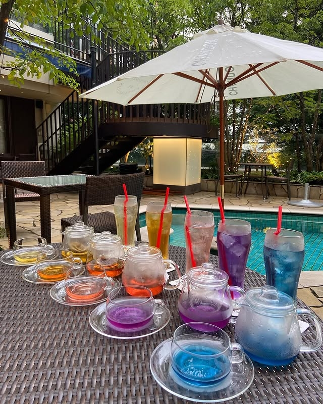 【人材紹介求人】347 Cafe&Loungeの詳細画像4