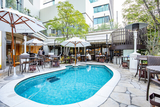 【人材紹介求人】347 Cafe&Loungeの詳細画像1