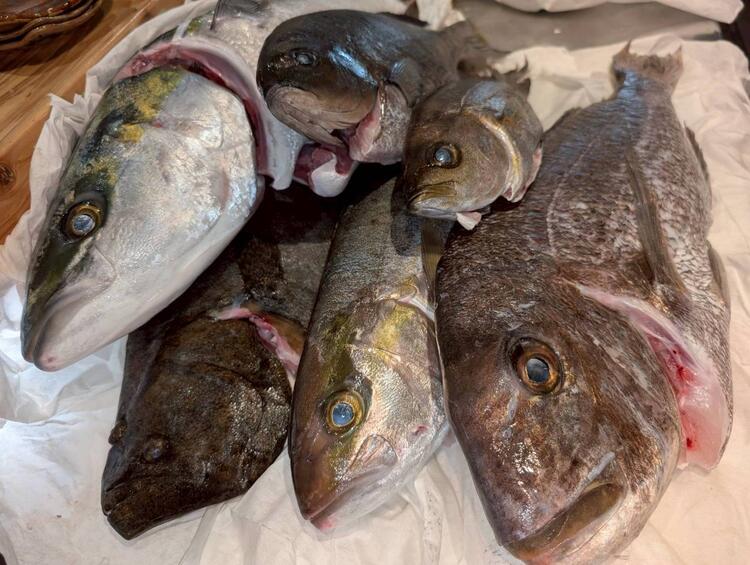 魚の目利きが身に付きます！