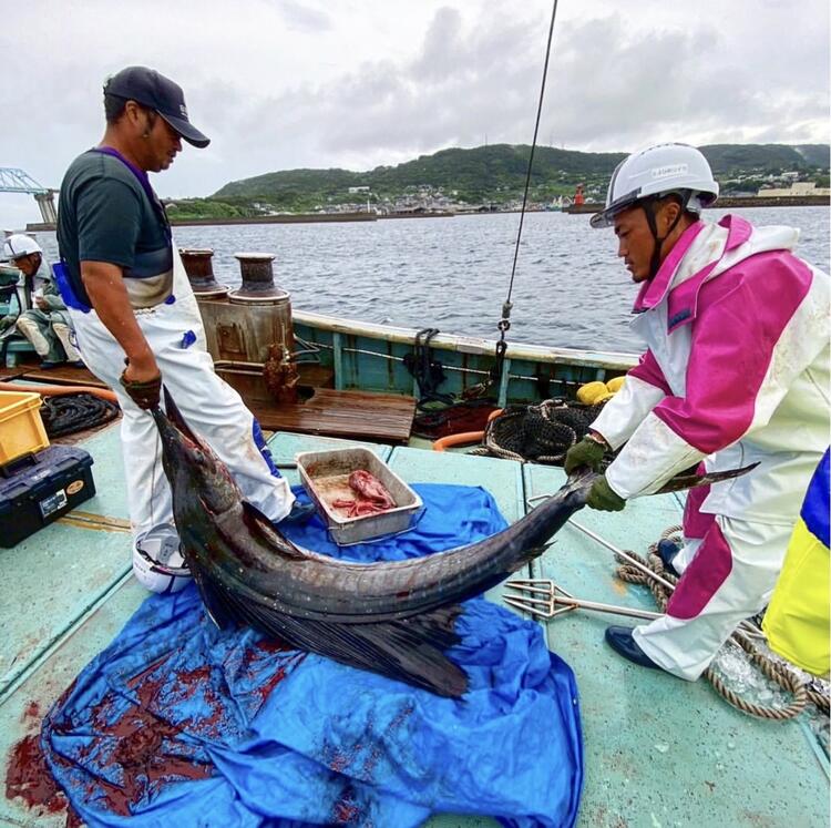 長崎の漁港から直送の新鮮な魚介