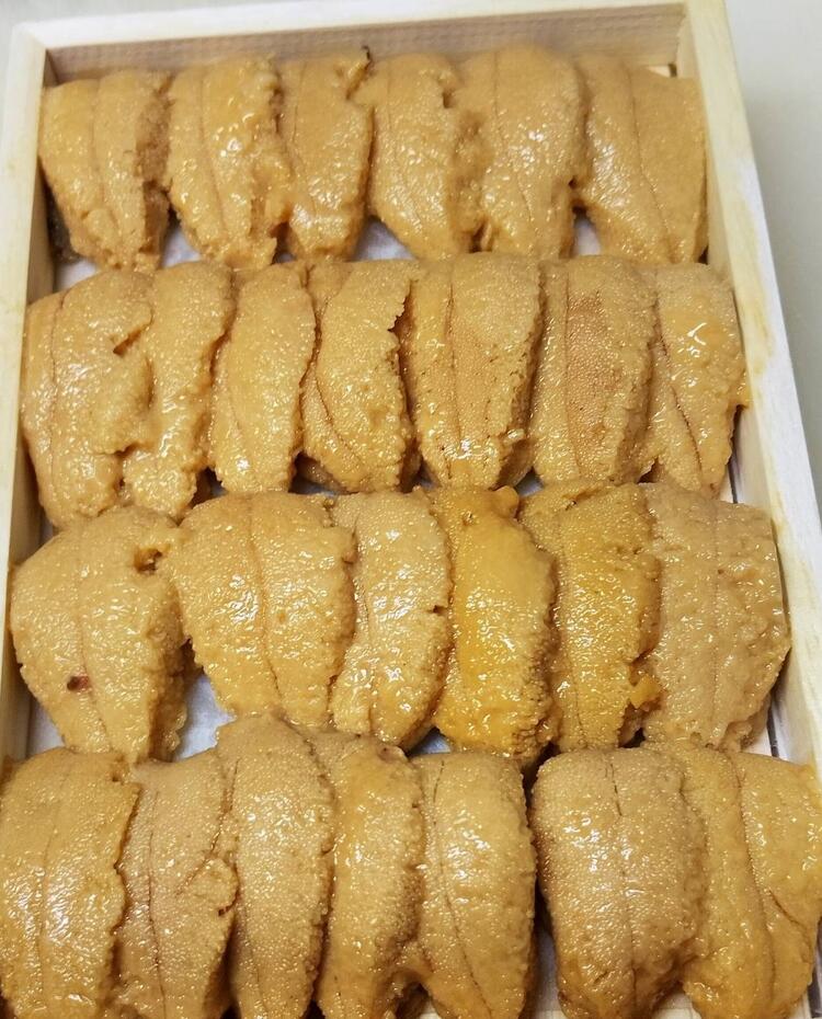 北海道産　バフンウニ