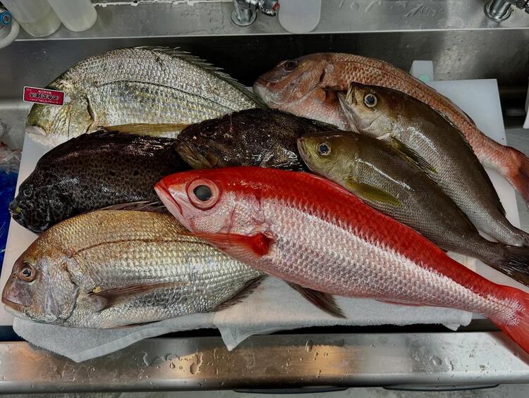 多くの魚種の取り扱いが学べますよ◎