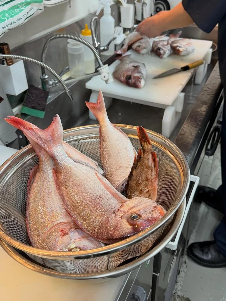 旬の魚が毎日10種以上揃います！