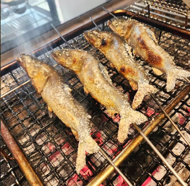 さまざまな魚に触れることができる職場