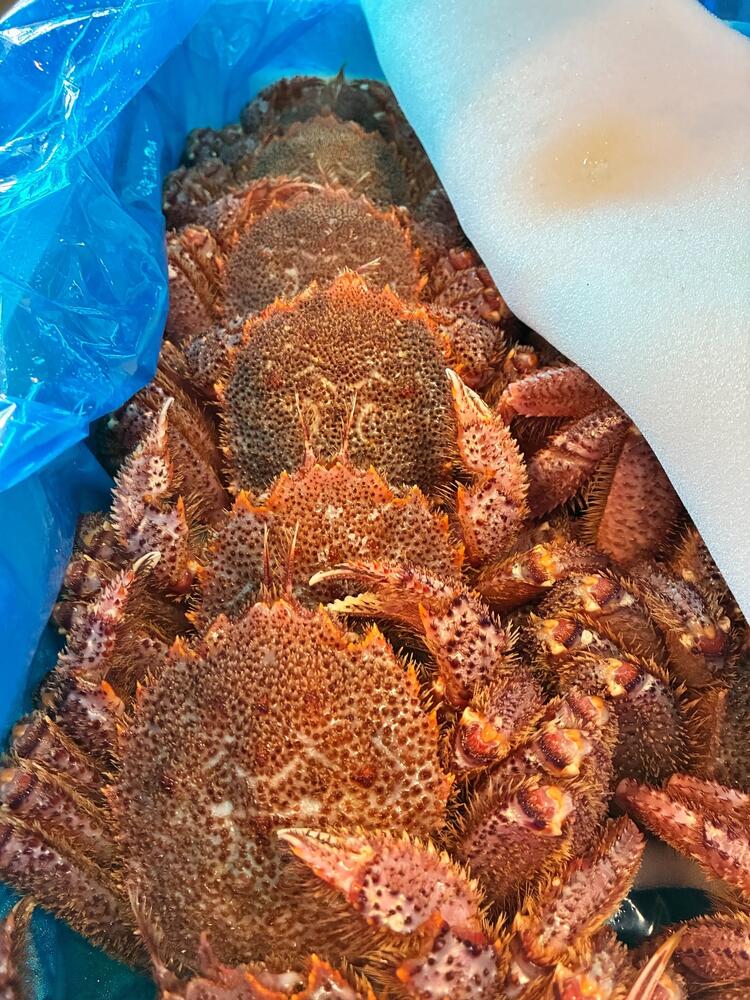 産地訪問あり！