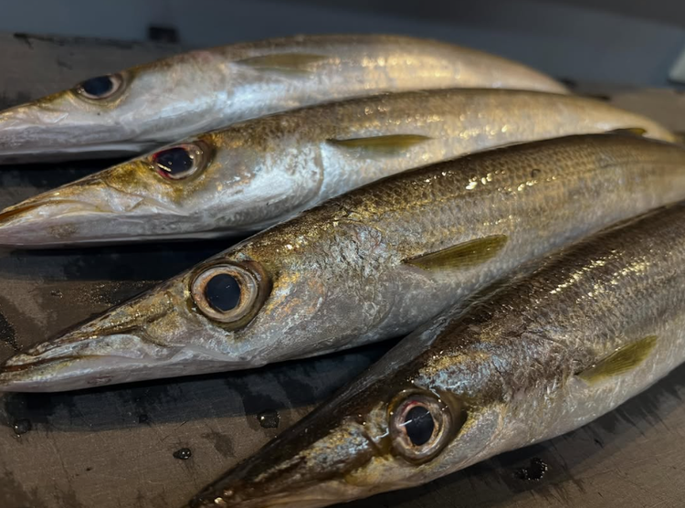日本酒や旬の魚など食の知識が身につく☆