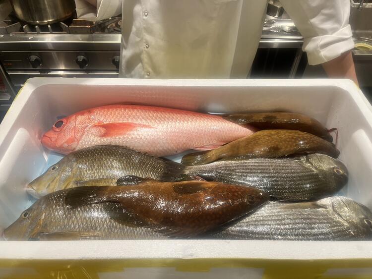 その日仕入れた新鮮な天然魚介のみを使用