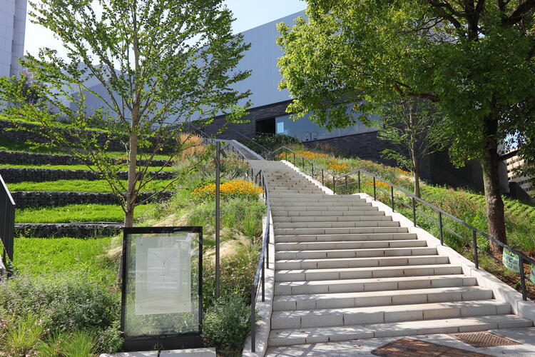 画像提供：川口市