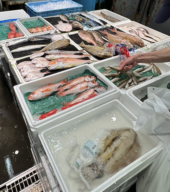 確かな魚の目利きや仕立て