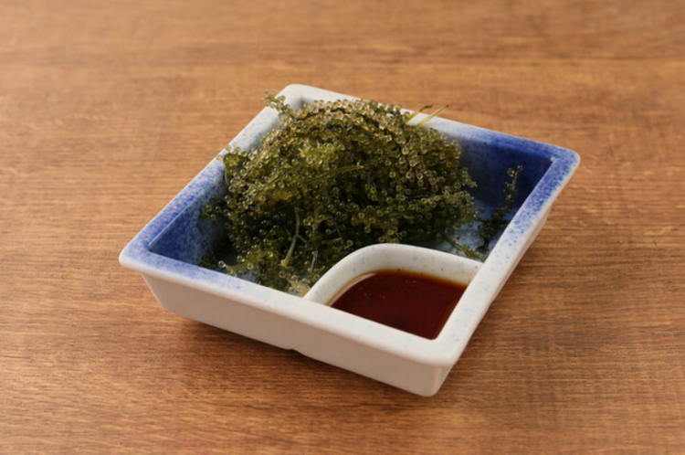 みなさまのご応募をお待ちしています！