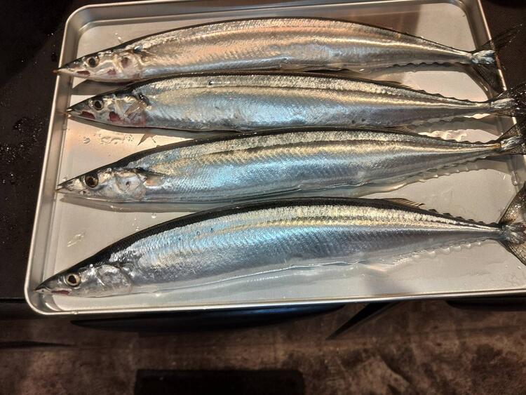 素材のおいしさを活かした料理を提供！