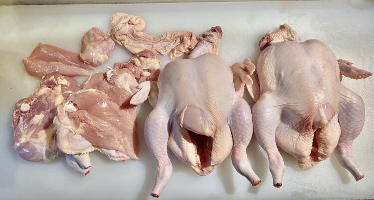 毎日解体してます🐓